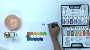 Ольховые шишки для аквариума. Применение, свойства и польза шишек ольхи для аквариумной воды
