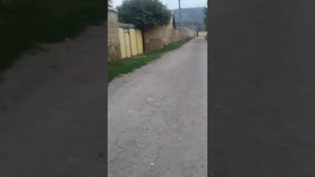 Где я живу? Какая у меня улица? смотреть онлайн