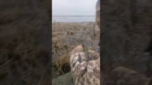 Вездеход Арго проводим испытания. По грязи, Кочкам