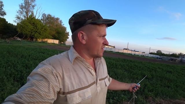 САМЫЙ ЛУЧШИЙ ИНКУБАТОР / ТЫКВЕННАЯ ПЛАНТАЦИЯ / НУЖЕН СОВЕТ смотреть онлайн