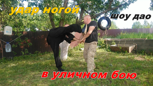 Удар ногой