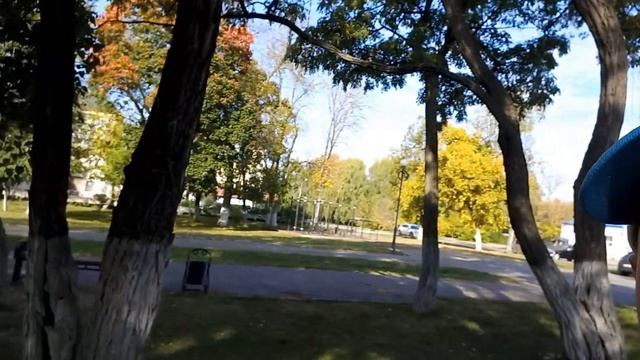 Прогулка с моей собакой! смотреть онлайн