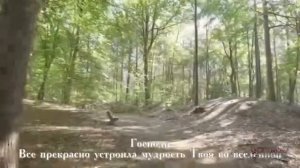 Господи милость Твоя обновляется каждое утро???