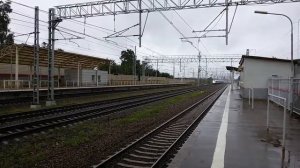ЭВС1 "Сапсан" мчит мимо ст.Новоподрезково  Московская обл.  05.09.17