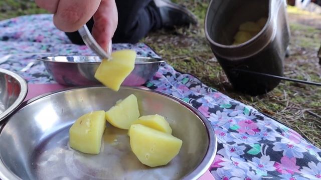 Уехали жить в лес, ночевка в лесу с палаткой