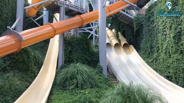 Аквапарк Атлантида ЯЛТА КРЫМ / Отдых в Аквапарке Лето 2019 смотреть онлайн