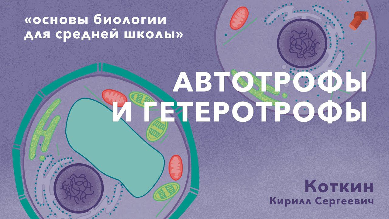 5. Автотрофы и гетеротрофы.