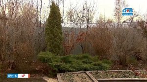 Красивый сад в любое время года в рубрике «Руки садовода»
