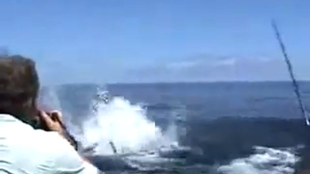 Вытянул золотую рыбку , рыбалка смотреть онлайн