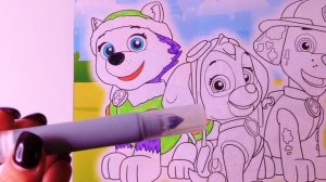 Щенячий патруль необычная раскраска для детей