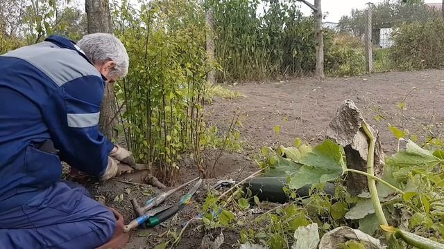 Корневая поросль - кардинально удаляю. смотреть онлайн