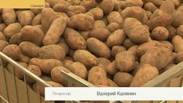 Обзор цен на картофель.