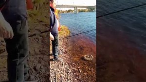 Рыбалка на реке Паша в мае 2023 года