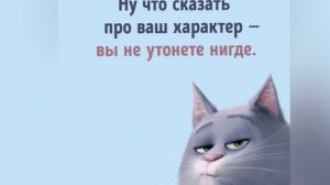 Как Наталья Курбанова и Муся Тигровая  подписчиков дурят и за спиной смеются??