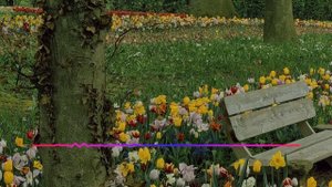 Мисрият - Музыка любви 2023