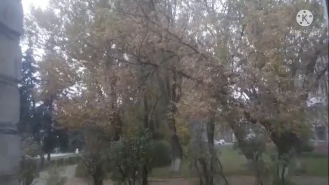 Триостарты-Октябрь/1 старт"Поехали"???? смотреть онлайн