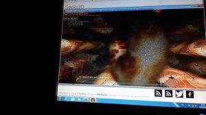 Снятие радиатора и тест китайской видеокарты graphicsplayer с чипом Nvidia Geforce gtx 750 ti