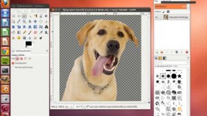 Gimp 2.8 - How to cut out an Image