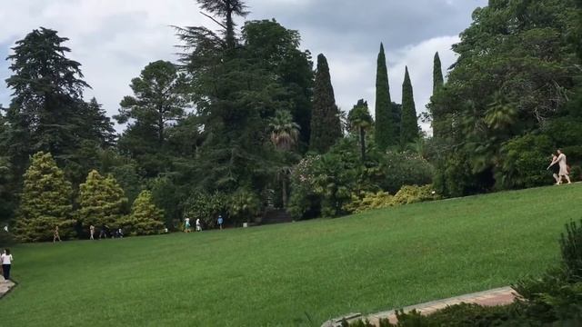 Дендрарий Сочи смотреть онлайн