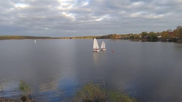 Всем нам Мирного неба над головой ☮️🦋 смотреть онлайн
