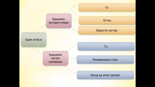 Ағзалардың тіршілігіндегі бөліп шығаратын өнімдері 6 сынып