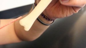 Radius and Ulna Anatomy