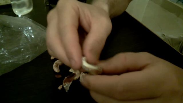 Сырой кешью существует смотреть онлайн