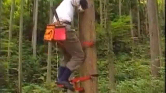 Лазить по деревьям смотреть онлайн