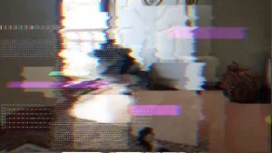 Вольф шпиц - всё о породе собаки