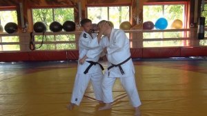 Лучшие комбинации болевых точек. Раздел Кюшо в Айкидо. Часть 1