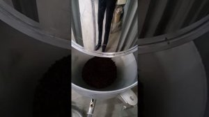 Вакуумный загрузчик зернового и порошкового кофе. Не повреждает зерна.