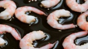 Салат с перепелиными яйцами и креветками
