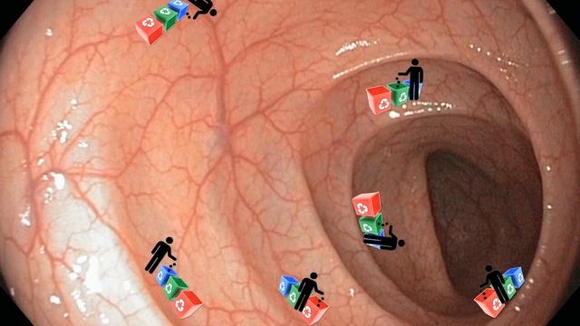 How Fiber Lowers Cholesterol смотреть онлайн