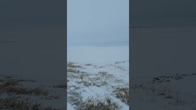 Охота на волков в Райымбекском районе 2018 смотреть онлайн