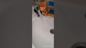 воду из под крана пить нельзя