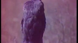 В Уральском заповеднике