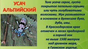 Красная книга Краснодарского края