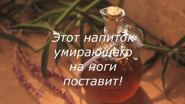 ОВЁС ЭЛИКСИР ЖИЗНИ ! смотреть онлайн