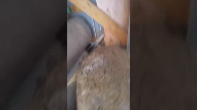 Эковата в Томске смотреть онлайн