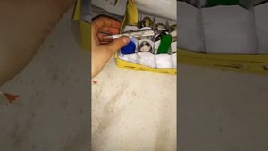 Как вылупить перепелят из магазиных яиц