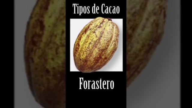 Какие бывают сорта Какао смотреть онлайн