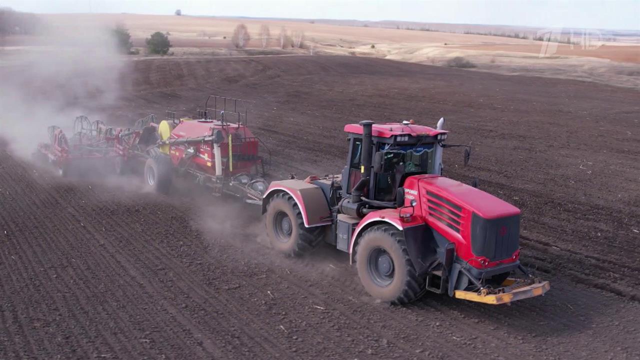 Российские аграрии обеспечивают продовольственную безопасность страны