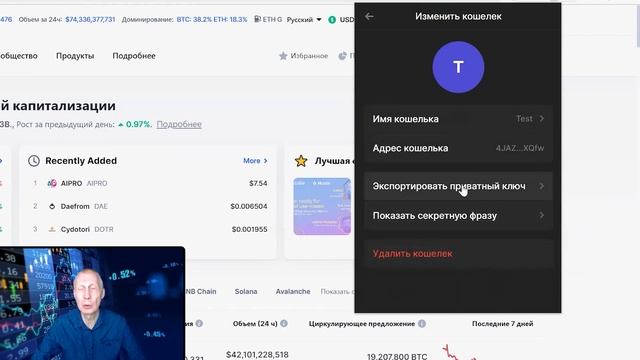 Что такое Solana? Что такое блокчейн Solana и как создать кошелек Phantom на любых платформах?