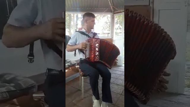 Золотые гармонисты России.
