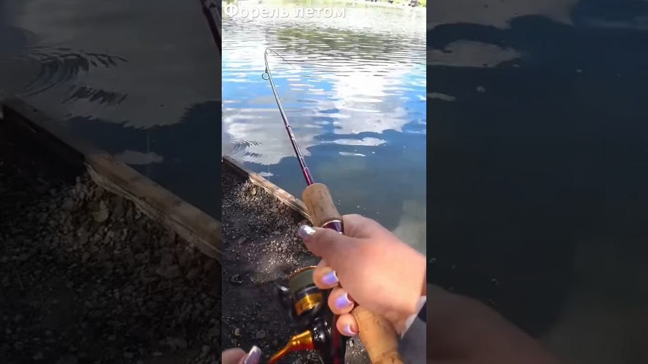 #форельнаспиннинг #fishing #ловляфорели #рыбалка #спиннинг #форель