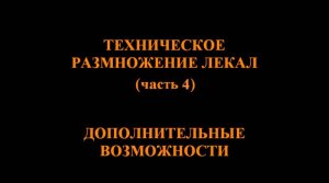 САПР Julivi - Конструктор - Доп возможности градации