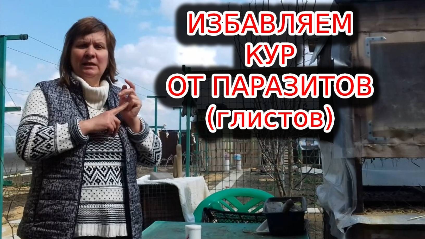 Паразиты (глисты) у кур весенняя профилактика или лечение?