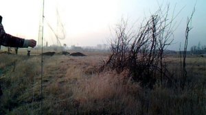 Установка сети и ловля птиц.