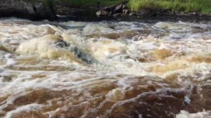 Кожеозерское путешествие 4 часть река "Кожа"