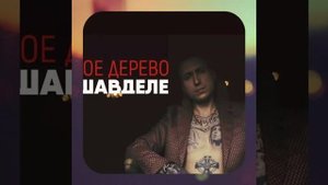 Красное Дерево -"Миша в деле" #МИШАВДЕЛЕ (2019)